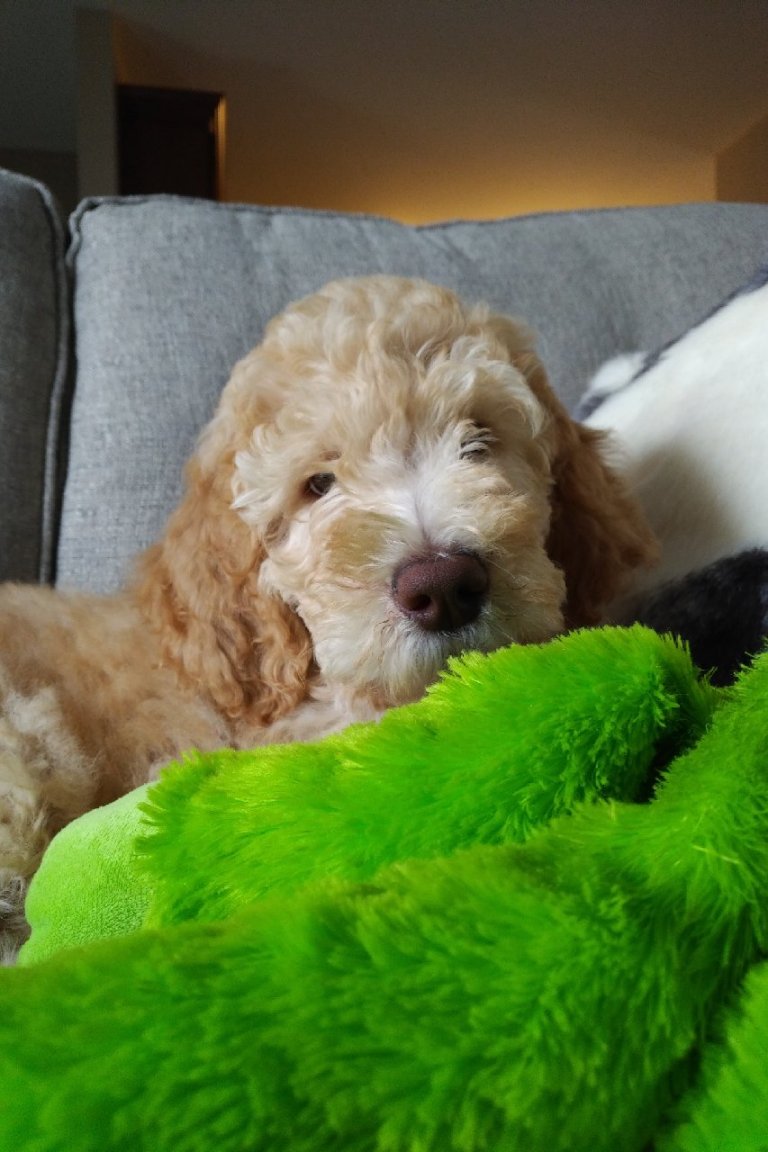 IMG_20181013_1151405